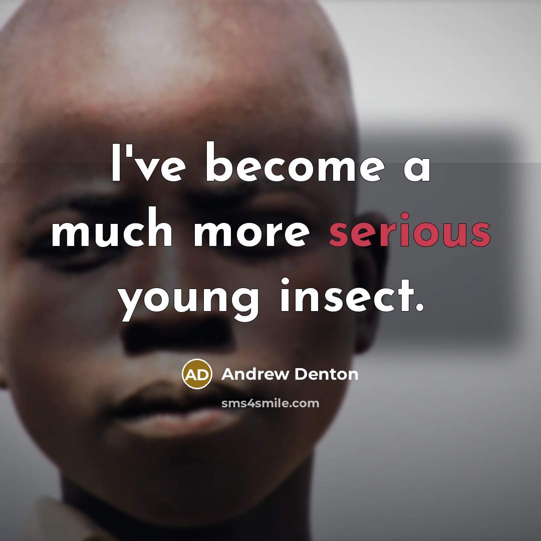 “I've become a much more serious young insect.” quote by Andrew Denton