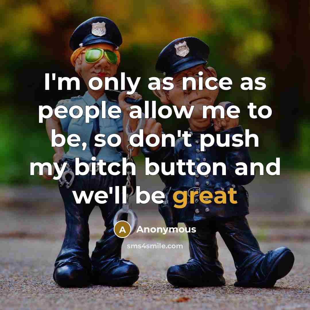 “I'm only as nice as people allow me to be, so don't push my bitch button and we'll be great” quote by Anonymous