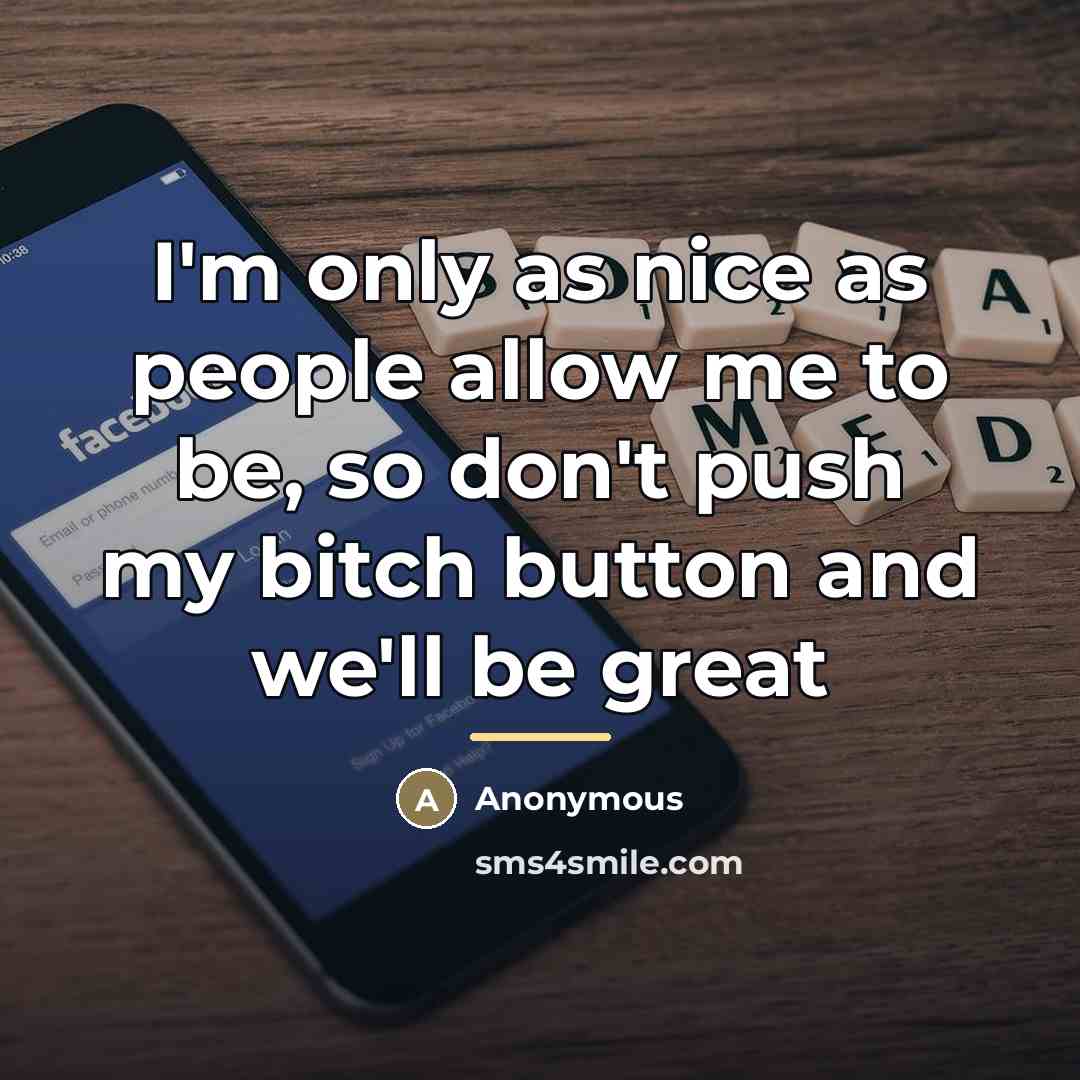 “I'm only as nice as people allow me to be,…” quote by Anonymous