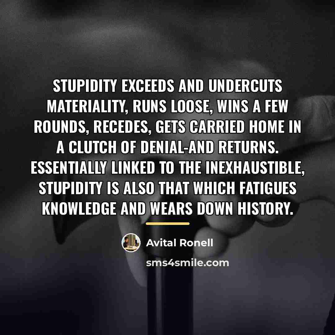 “Stupidity exceeds and undercuts materiality, runs loose, wins a few…” quote by Avital Ronell