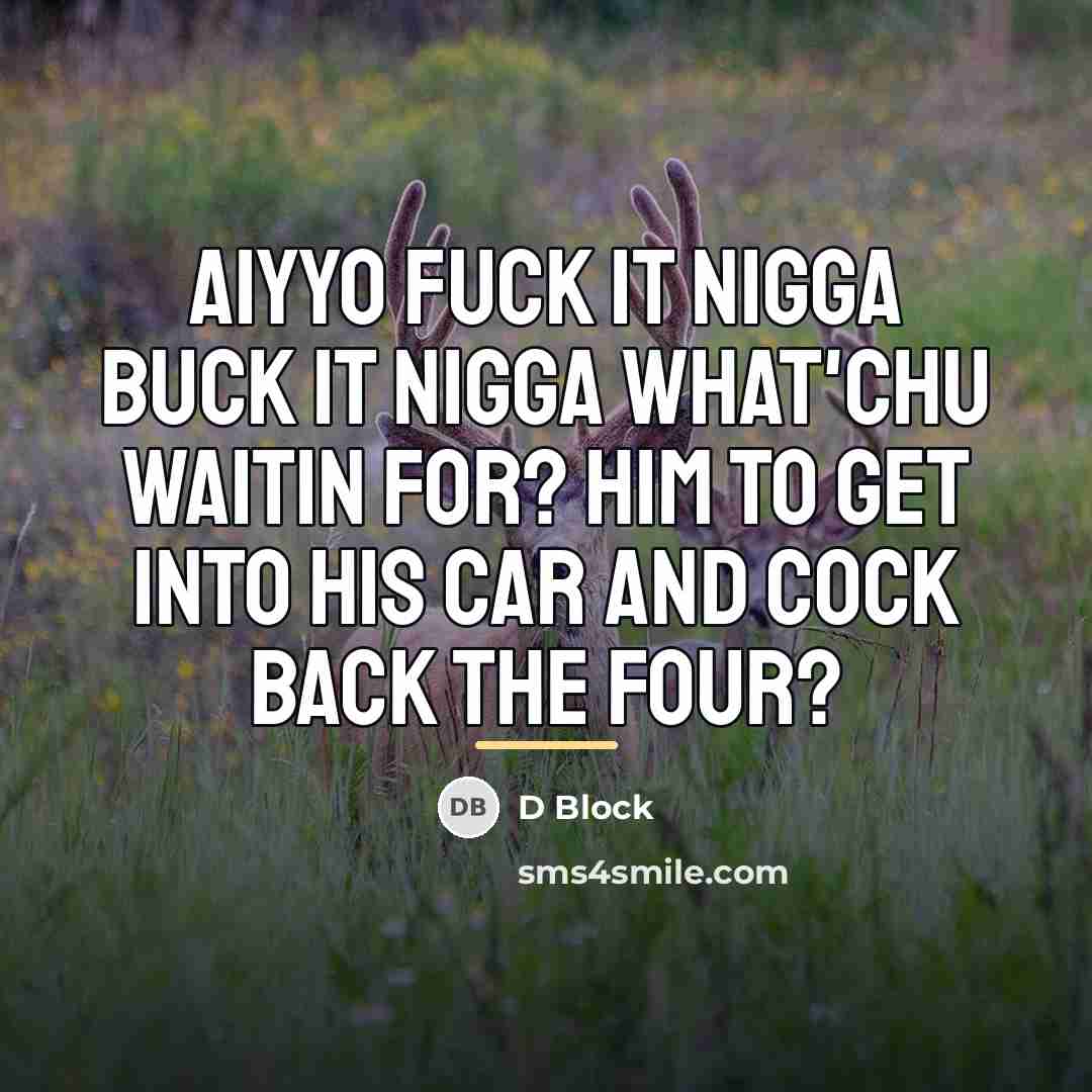 “Aiyyo fuck it nigga buck it nigga what'chu waitin for?…” quote by D Block
