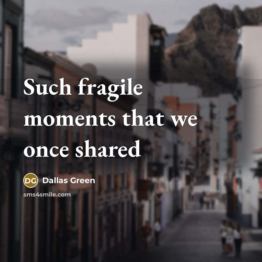 “Such fragile moments that we once shared…” quote by Dallas Green