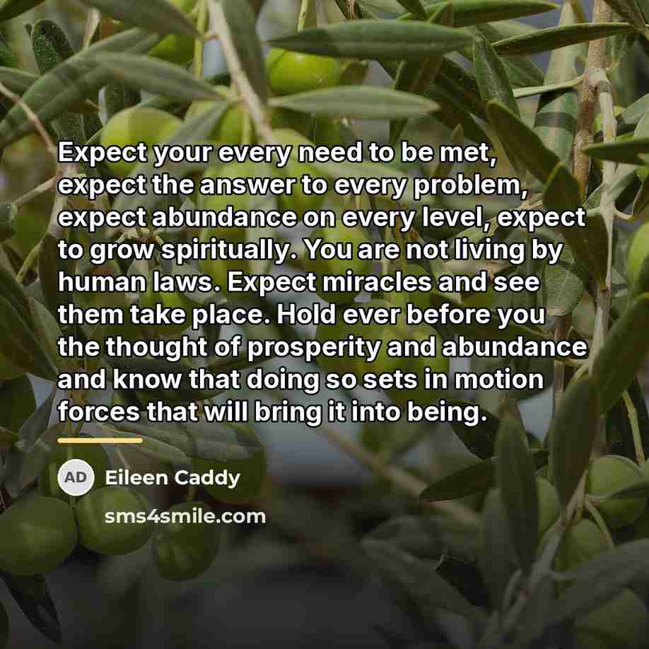 “Expect your every need to be met, expect the answer…” quote by Eileen Caddy