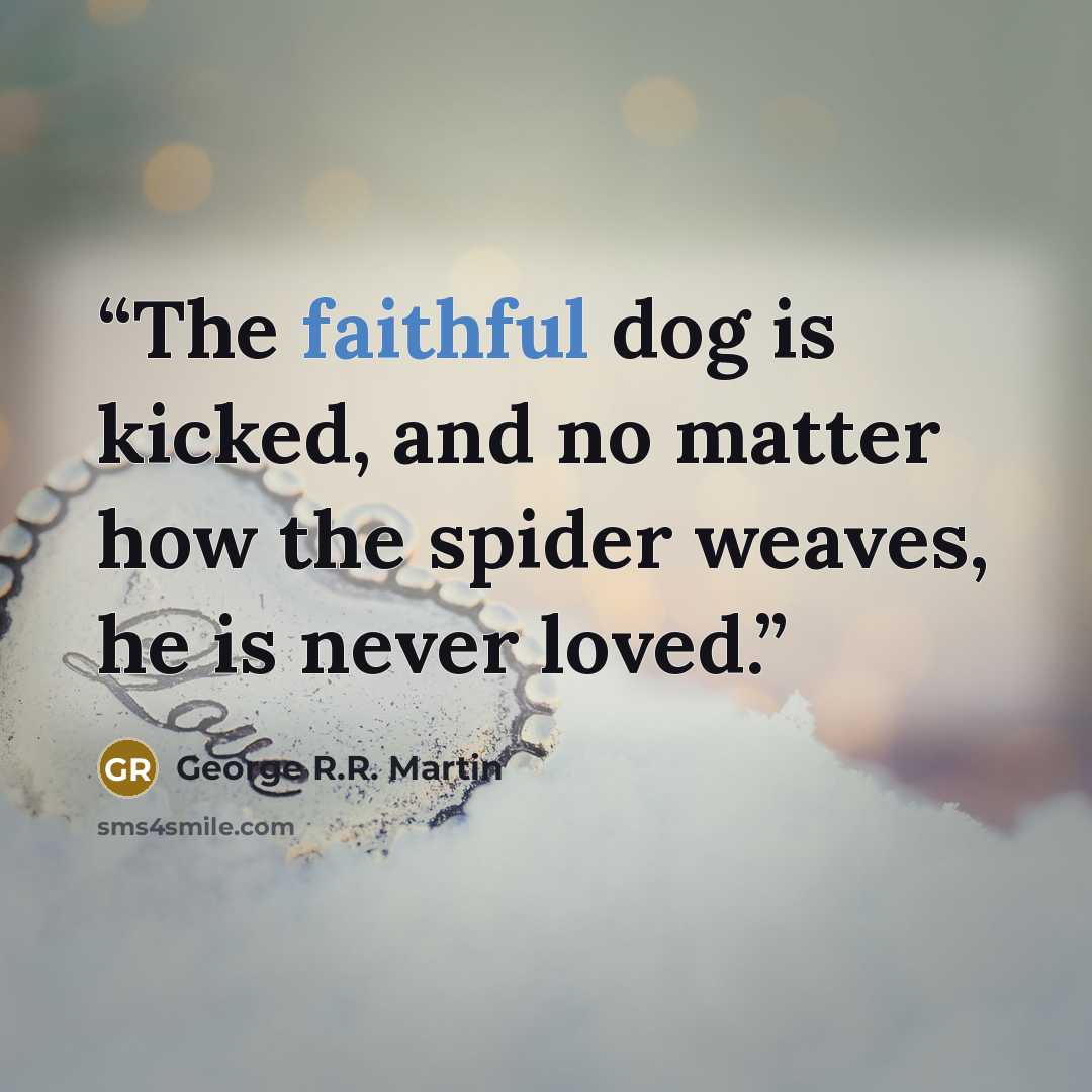 “The faithful dog is kicked, and no matter how the spider weaves, he is never loved.” quote by George R.R. Martin