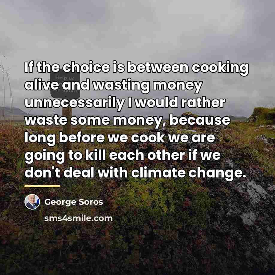 “If the choice is between cooking alive and wasting money…” quote by George Soros