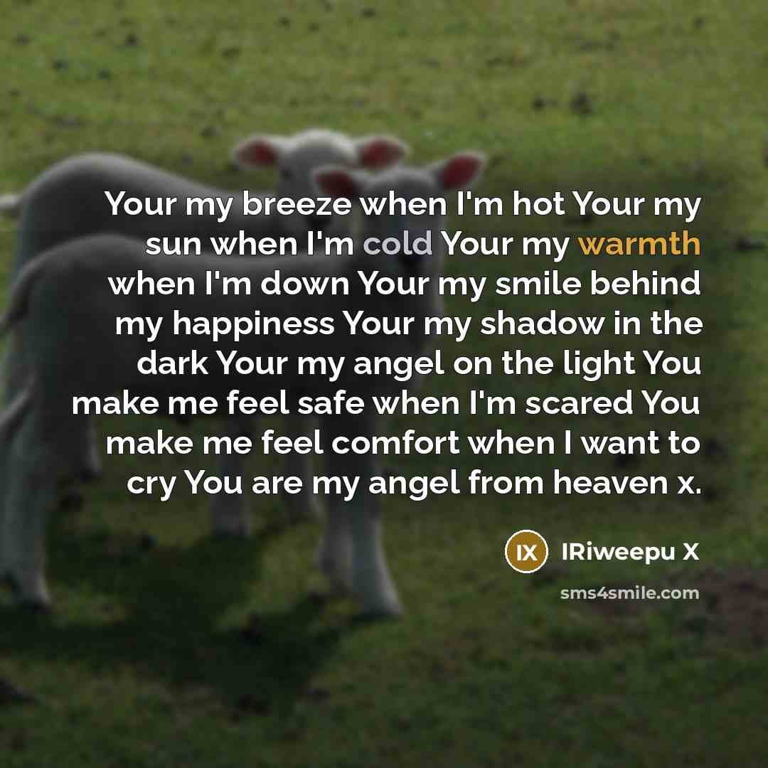 “Your my breeze when I'm hot Your my sun when I'm cold Your my warmth when I'm down Your my smile behind my happiness Your my shadow in the dark Your my angel on the light You make me feel safe when I'm scared You make me feel comfort when I want to cry You are my angel from heaven x.” quote by IRiweepu X