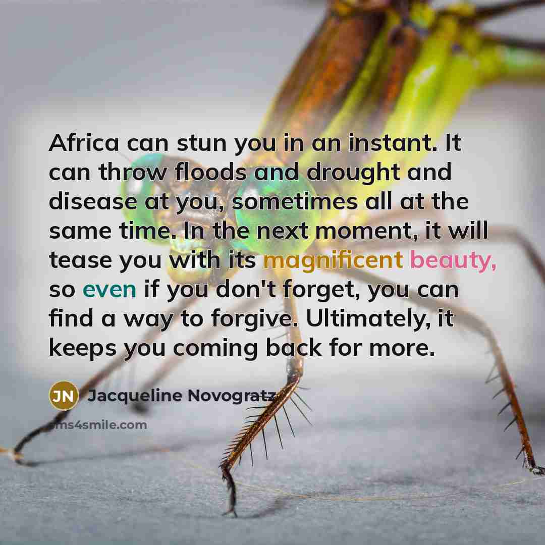 “Africa can stun you in an instant. It can throw…” quote by Jacqueline Novogratz