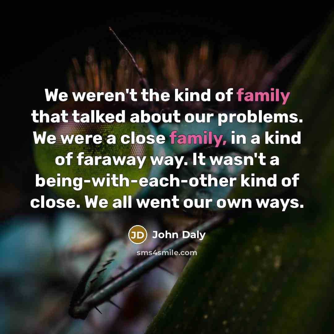 “We weren't the kind of family that talked about our…” quote by John Daly