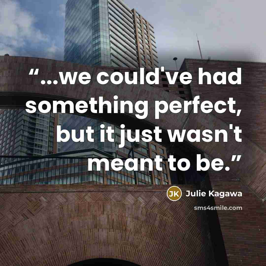 “...we could've had something perfect, but it just wasn't meant to be.” quote by Julie Kagawa
