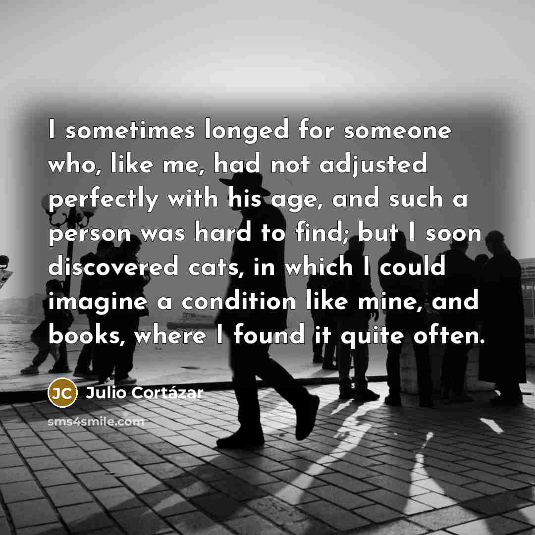 “I sometimes longed for someone who, like me, had not…” quote by Julio Cortazar