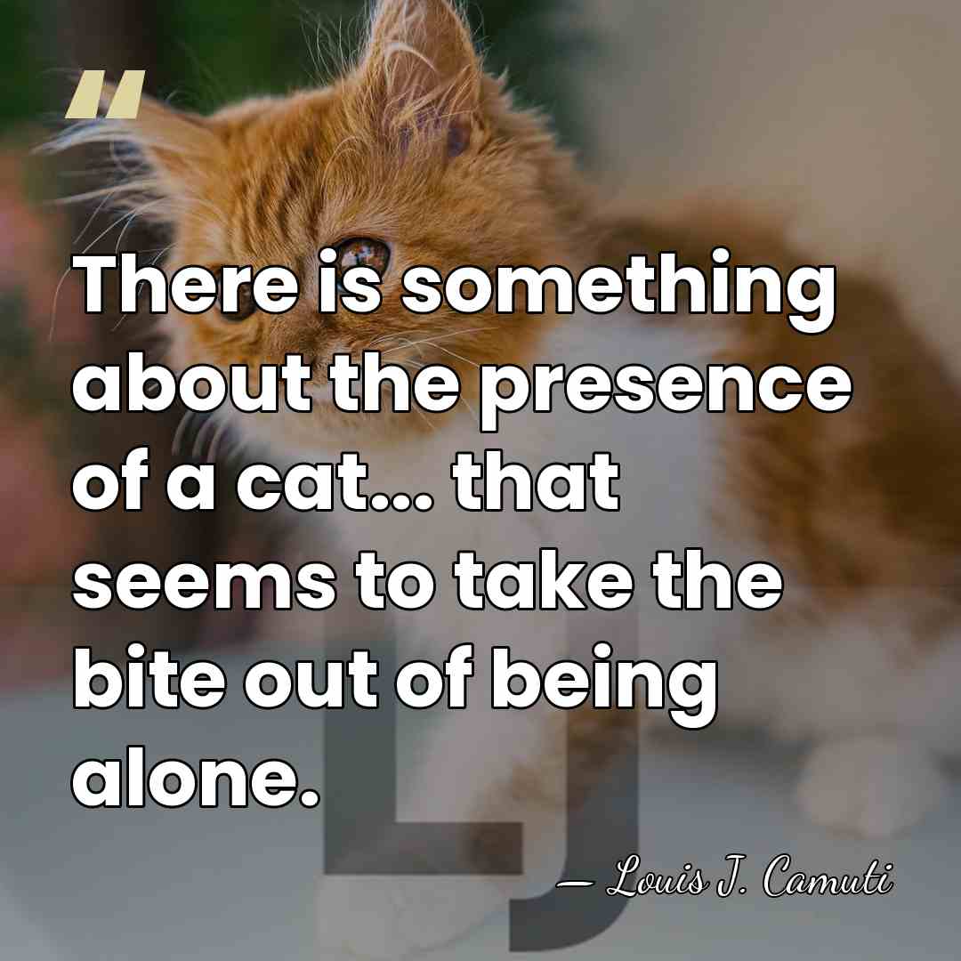 There is something about the presence of a cat... that seems to&hellip; - Louis J. Camuti