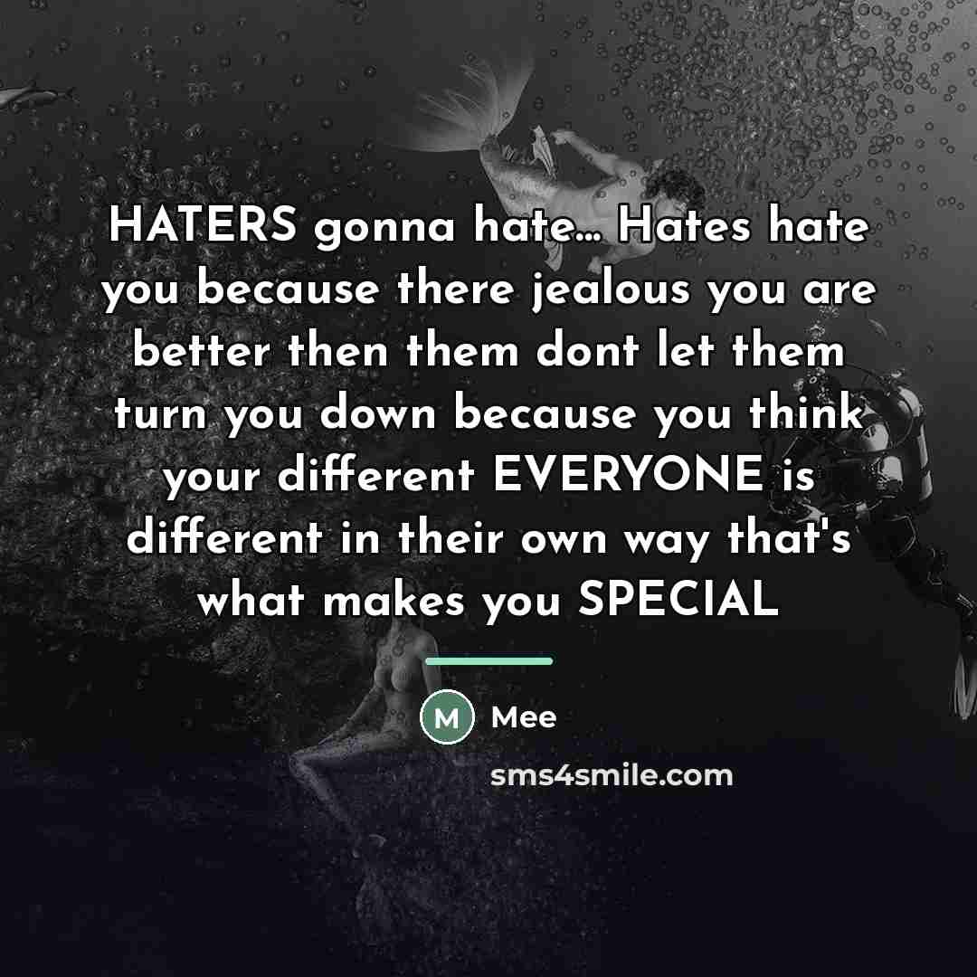 “HATERS gonna hate... Hates hate you because there jealous you…” quote by Mee