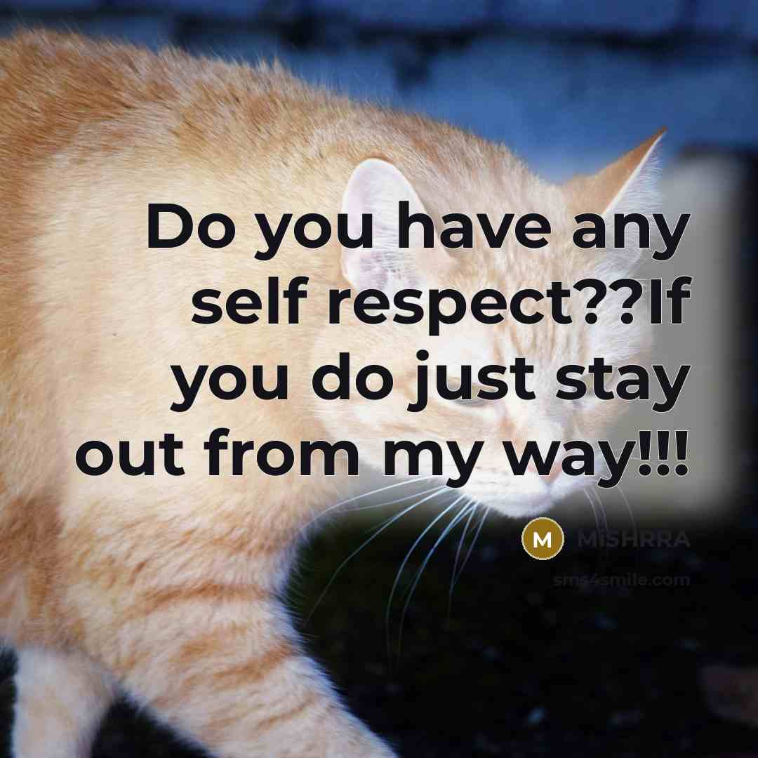 “Do you have any self respect??If you do just stay…” quote by MiSHRRA