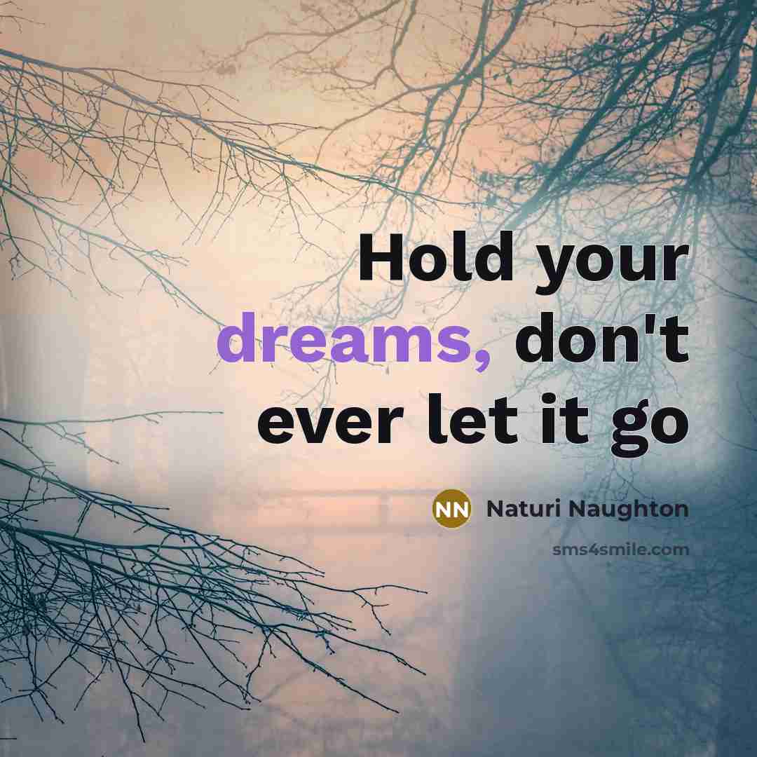“Hold your dreams, don't ever let it go…” quote by Naturi Naughton