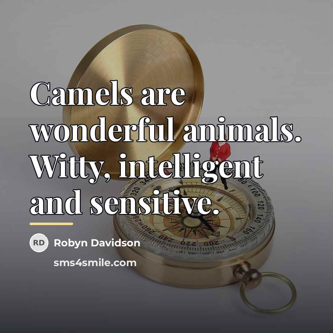 “Camels are wonderful animals. Witty, intelligent and sensitive.…” quote by Robyn Davidson