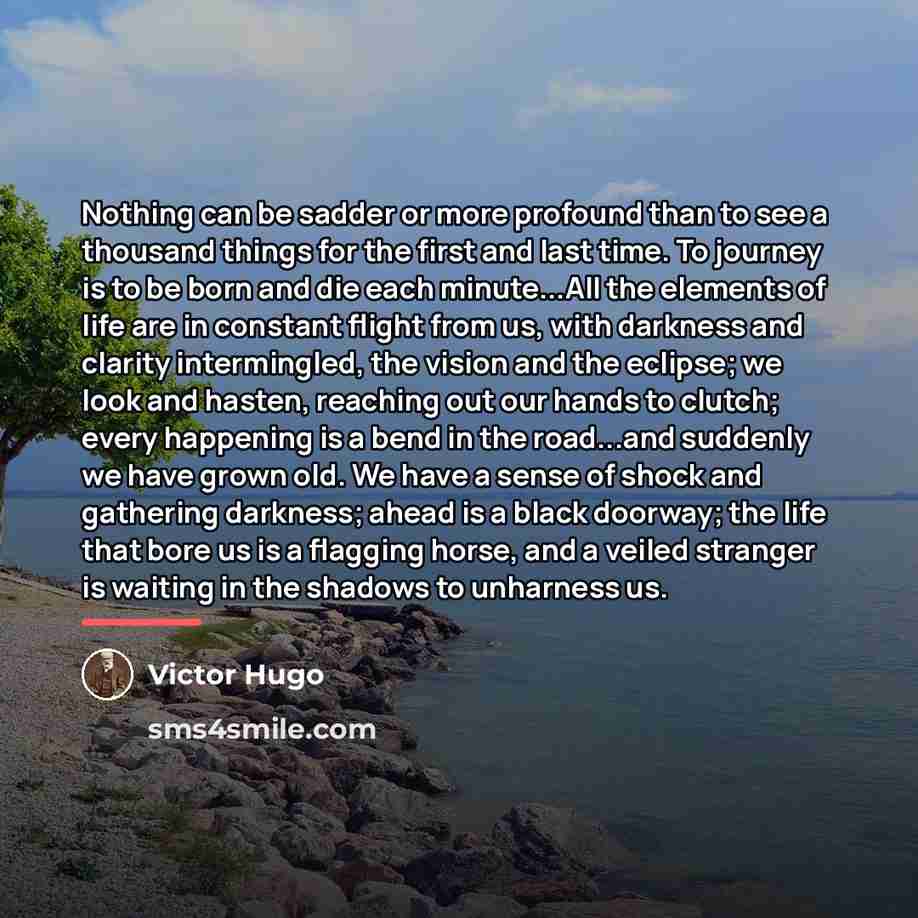 “Nothing can be sadder or more profound than to see…” quote by Victor Hugo