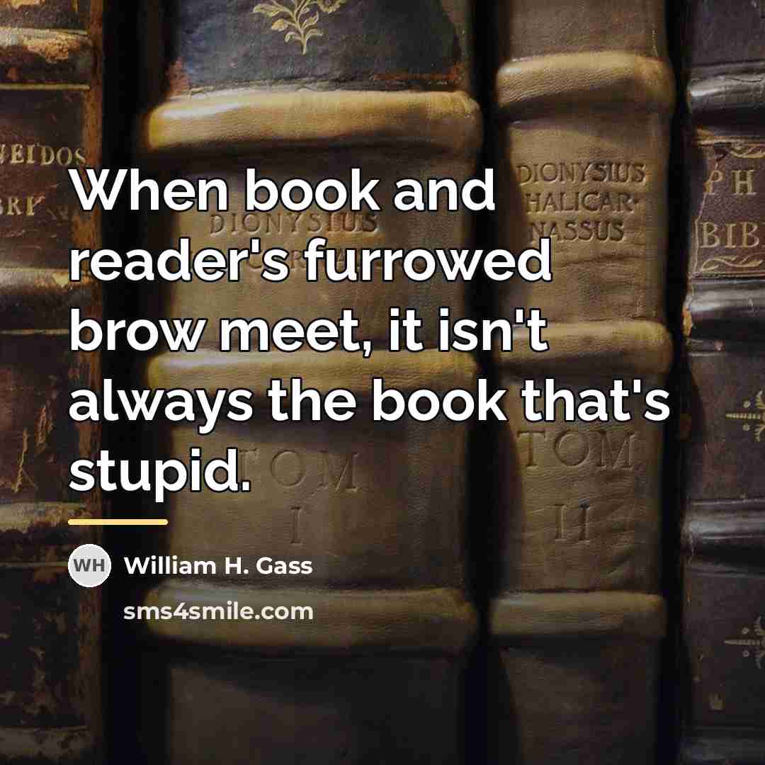 “When book and reader's furrowed brow meet, it isn't always…” quote by William H. Gass