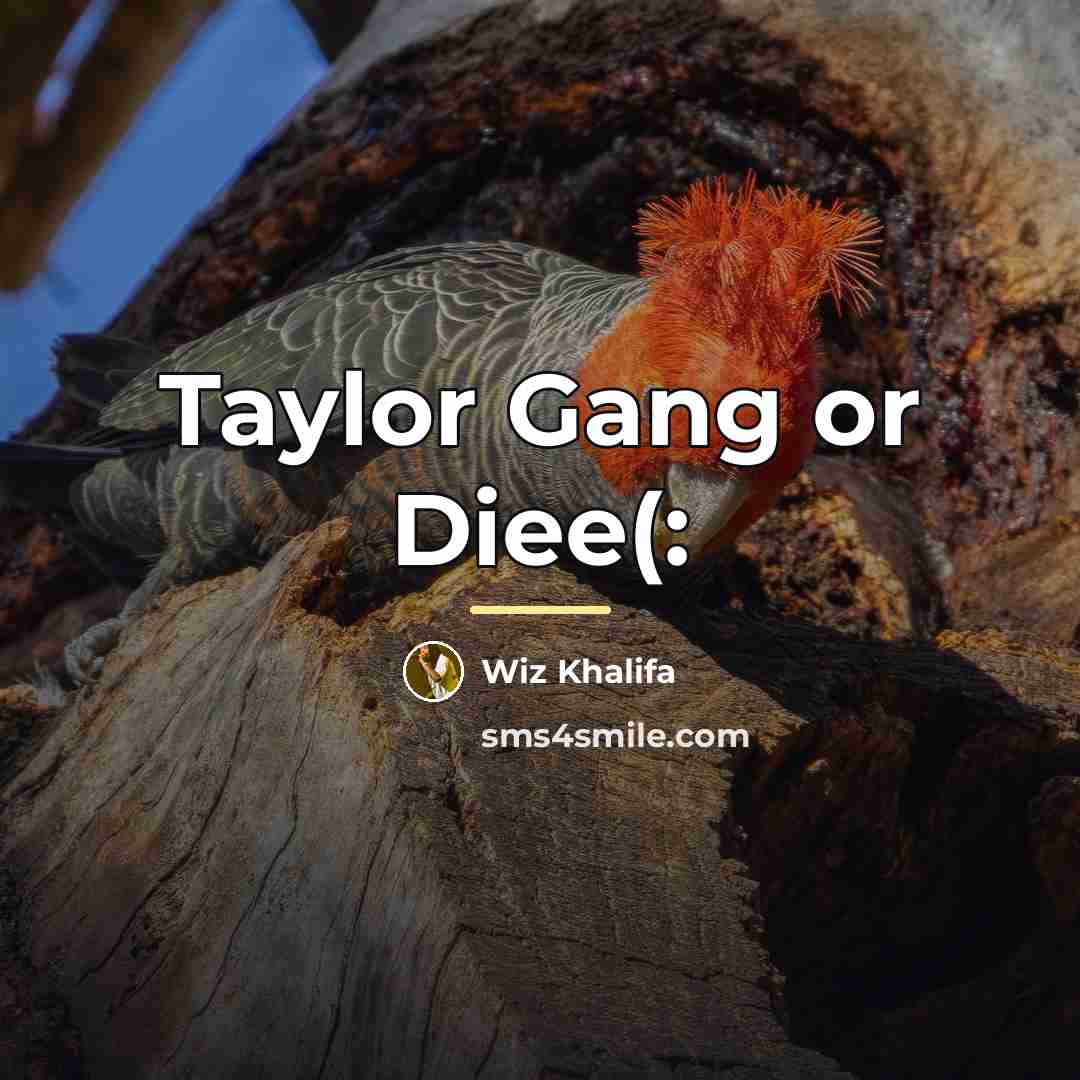“Taylor Gang or Diee(:…” quote by Wiz Khalifa