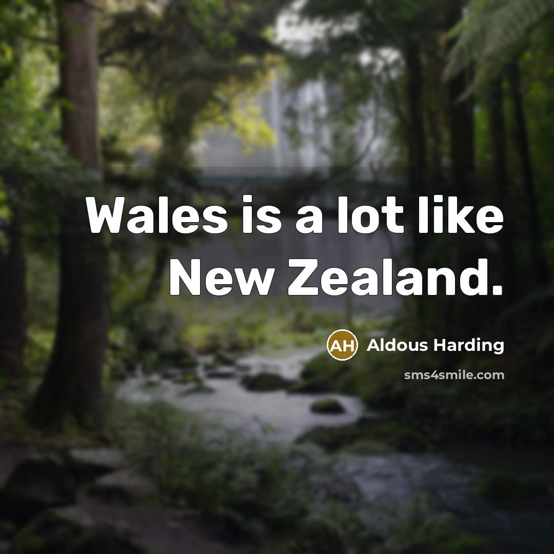 “Wales is a lot like New Zealand.…” quote by Aldous Harding