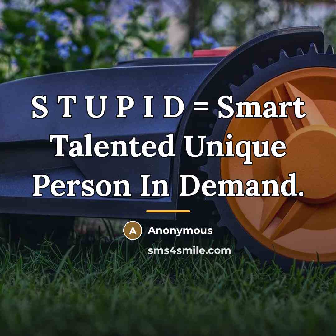 “S T U P I D = Smart Talented Unique…” quote by Anonymous