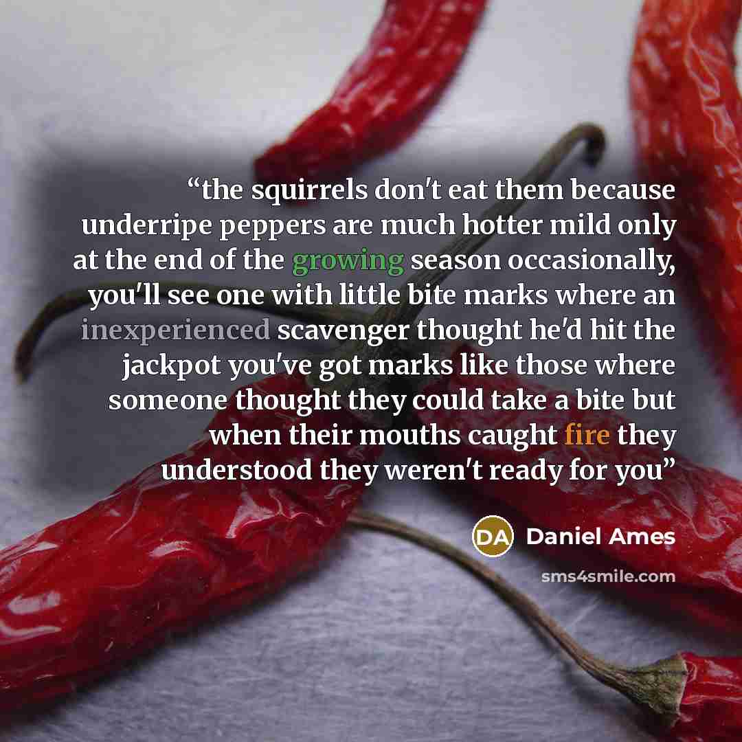 “the squirrels don't eat them because underripe peppers are much hotter mild only at the end of the growing season occasionally, you'll see one with little bite marks where an inexperienced scavenger thought he'd hit the jackpot you've got marks like those where someone thought they could take a…” quote by Daniel Ames