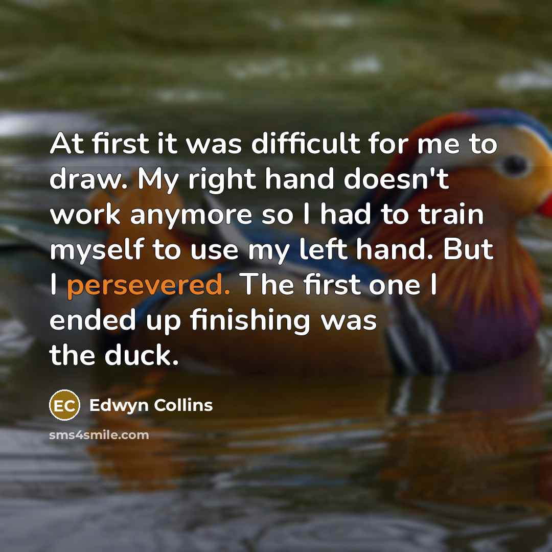 “At first it was difficult for me to draw. My right hand doesn't work anymore so I had to train myself to use my left hand. But I persevered. The first one I ended up finishing was the duck.” quote by Edwyn Collins