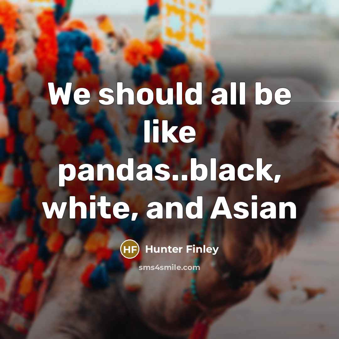 “We should all be like pandas..black, white, and Asian” quote by Hunter Finley
