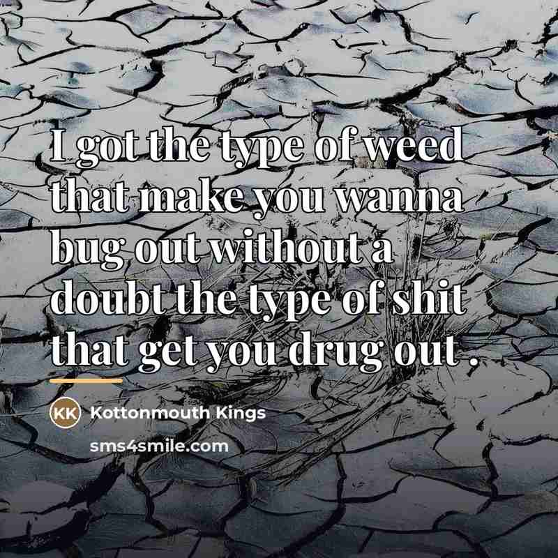 “I got the type of weed that make you wanna…” quote by Kottonmouth Kings