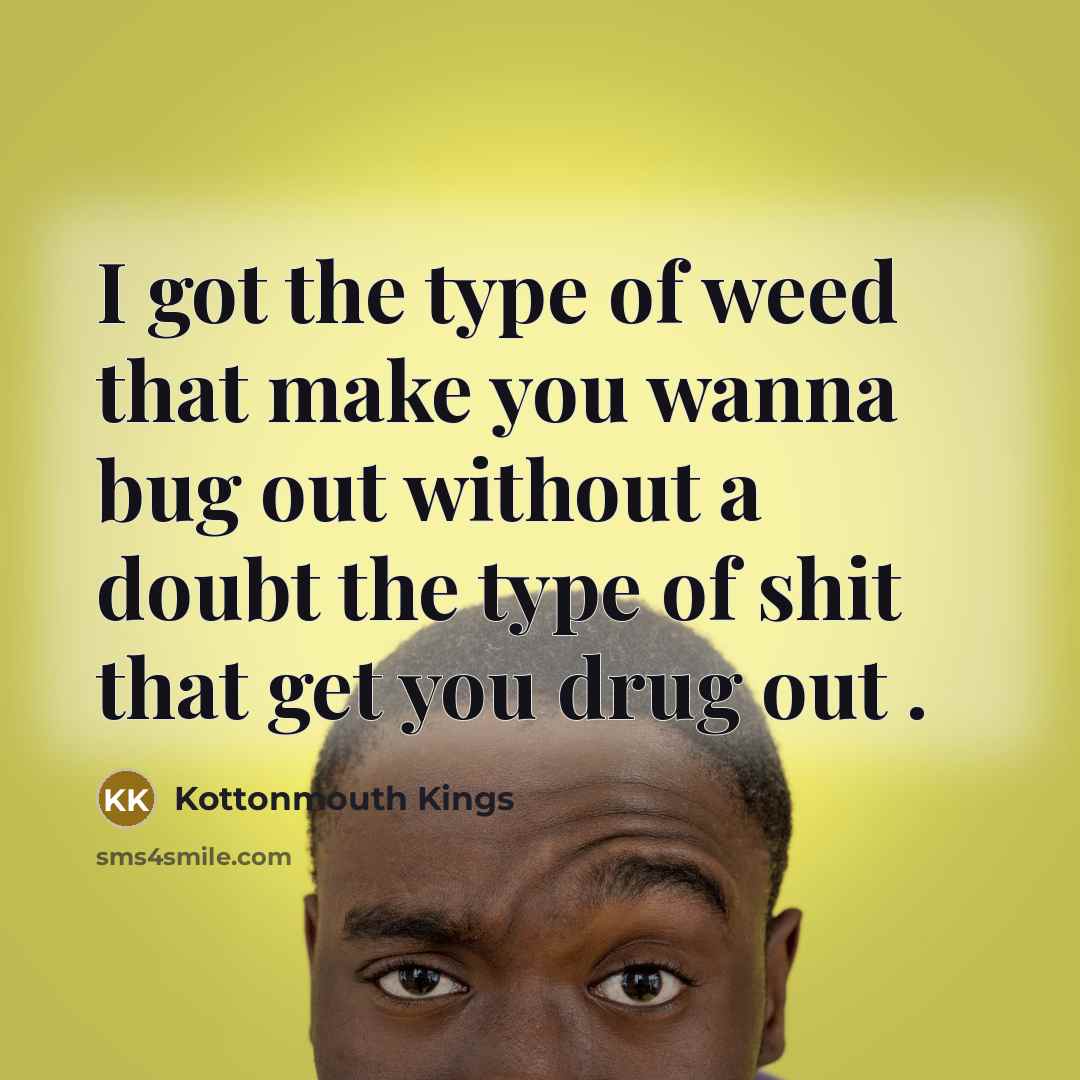 “I got the type of weed that make you wanna bug out without a doubt the type of shit that get you drug out .” quote by Kottonmouth Kings