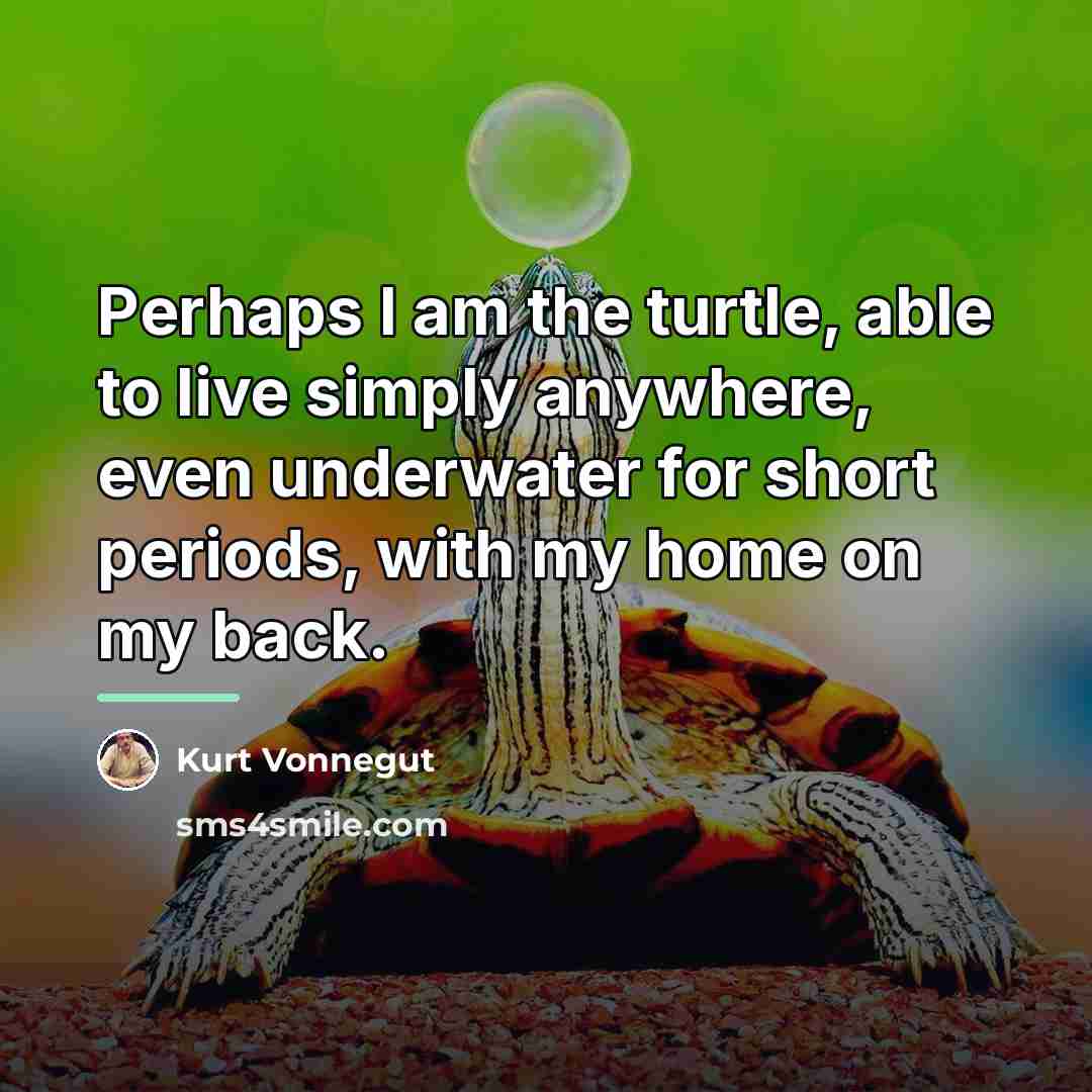 “Perhaps I am the turtle, able to live simply anywhere,…” quote by Kurt Vonnegut