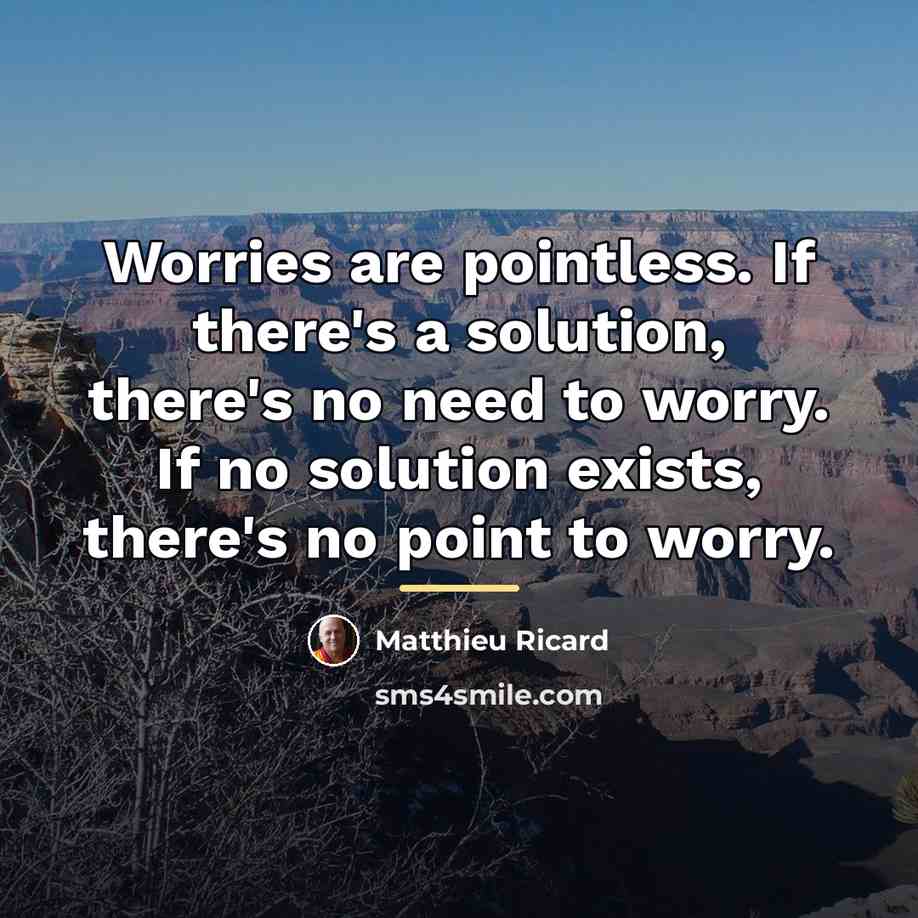 “Worries are pointless. If there's a solution, there's no need…” quote by Matthieu Ricard