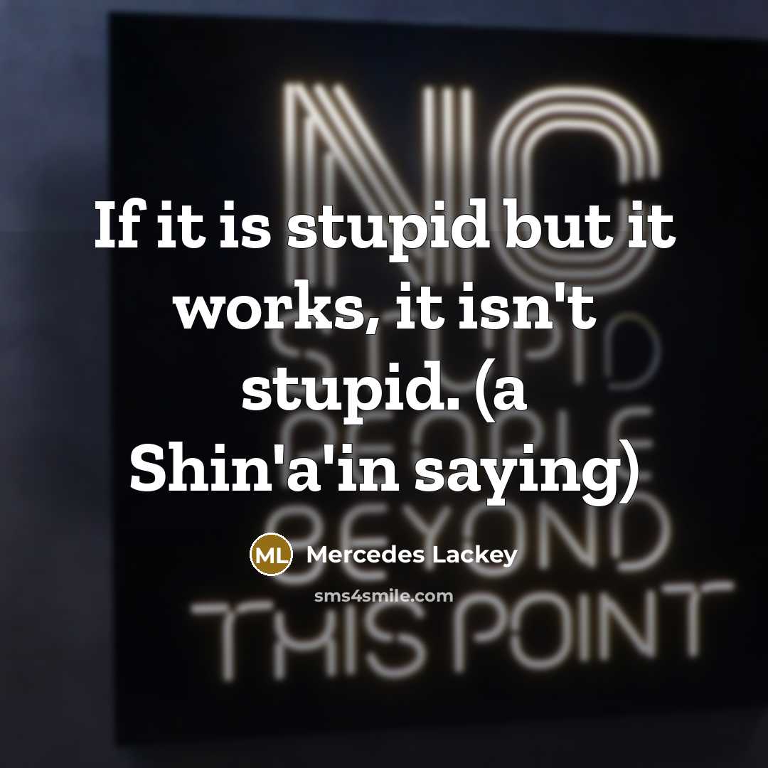 “If it is stupid but it works, it isn't stupid.…” quote by Mercedes Lackey