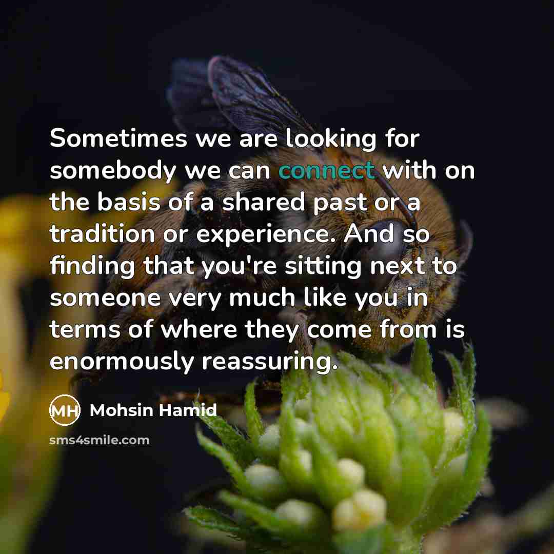“Sometimes we are looking for somebody we can connect with…” quote by Mohsin Hamid