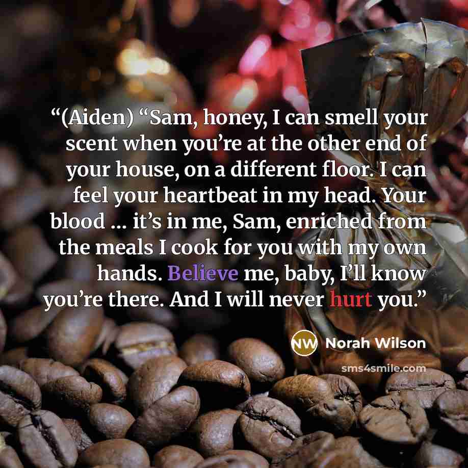 “(Aiden) “Sam, honey, I can smell your scent when you’re at the other end of your house, on a different floor. I can feel your heartbeat in my head. Your blood … it’s in me, Sam, enriched from the meals I cook for you with my own hands. Believe me, baby, I’ll know you’re there. And I will never…” quote by Norah Wilson