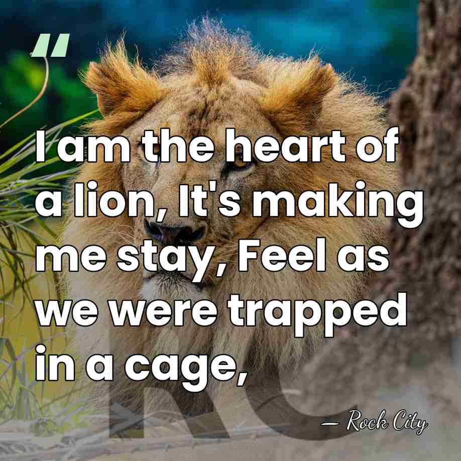 I am the heart of a lion, It's making me stay, Feel&hellip; - Rock City