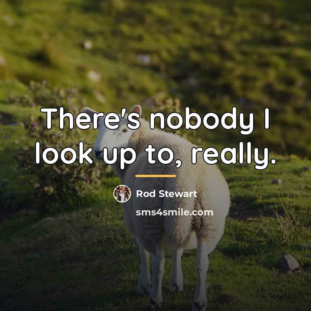 “There's nobody I look up to, really.…” quote by Rod Stewart