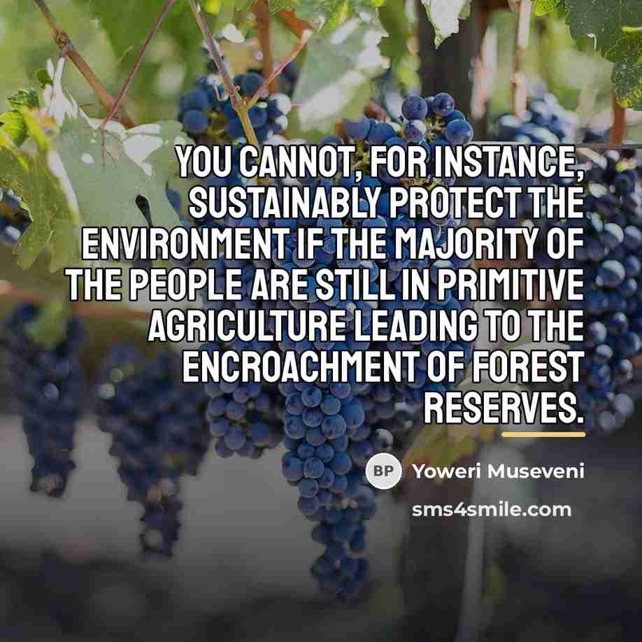“You cannot, for instance, sustainably protect the environment if the…” quote by Yoweri Museveni