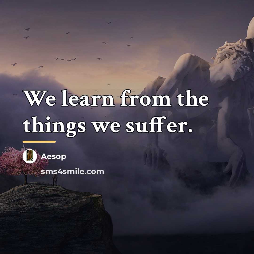 “We learn from the things we suffer.…” quote by Aesop