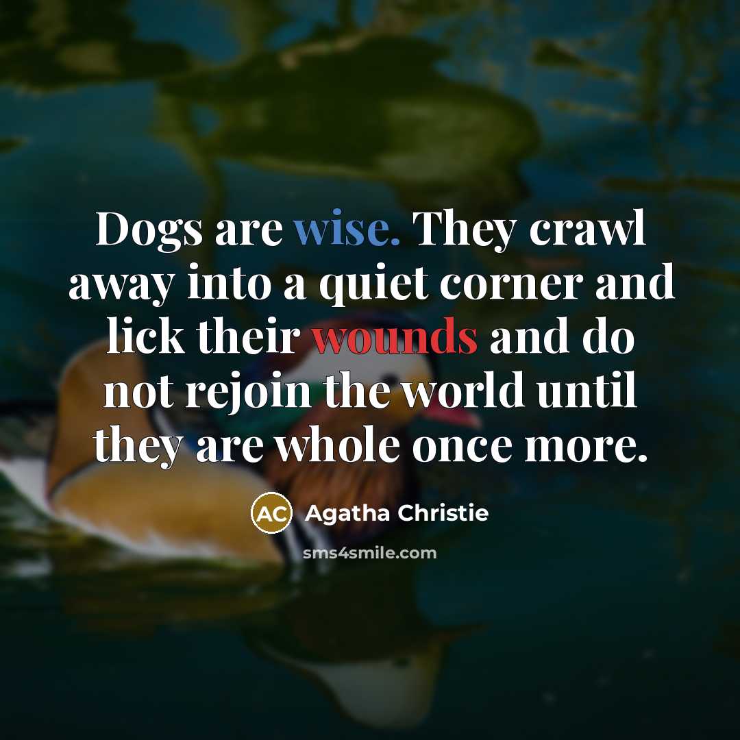“Dogs are wise. They crawl away into a quiet corner and lick their wounds and do not rejoin the world until they are whole once more.” quote by Agatha Christie