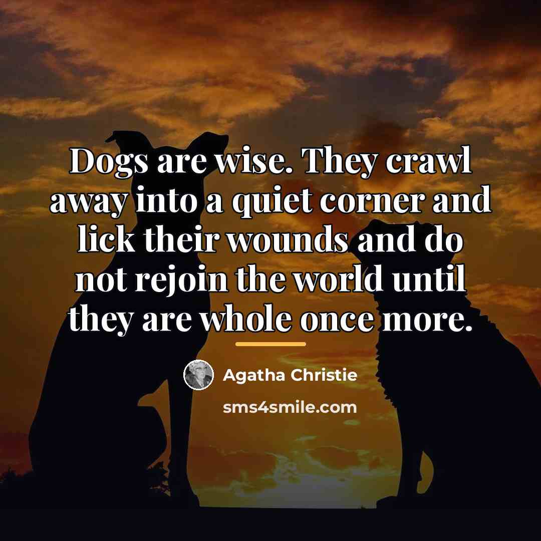 “Dogs are wise. They crawl away into a quiet corner…” quote by Agatha Christie