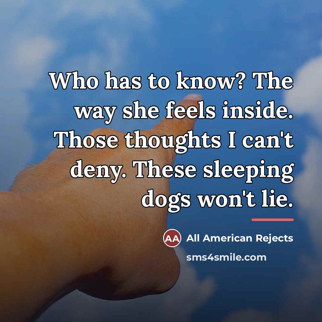 “Who has to know? The way she feels inside. Those…” quote by All American Rejects