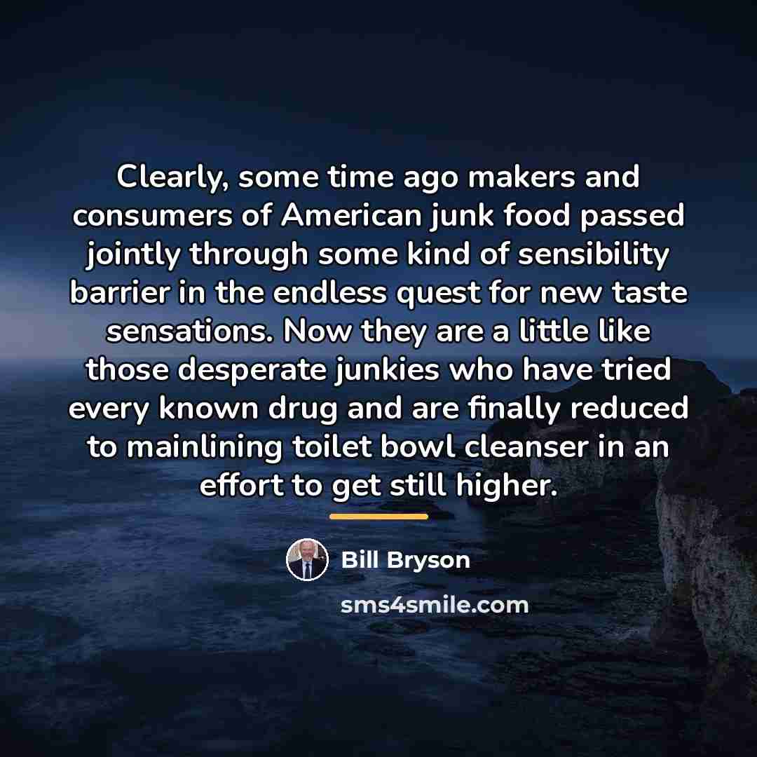 “Clearly, some time ago makers and consumers of American junk…” quote by Bill Bryson
