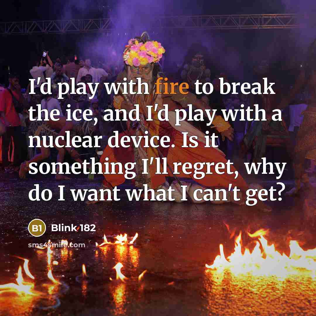“I'd play with fire to break the ice, and I'd…” quote by Blink 182