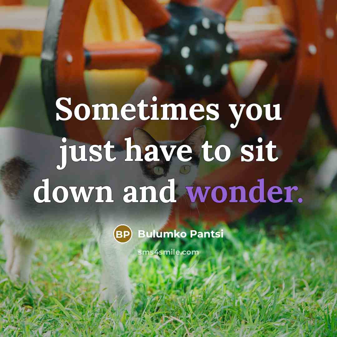 “Sometimes you just have to sit down and wonder.…” quote by Bulumko Pantsi