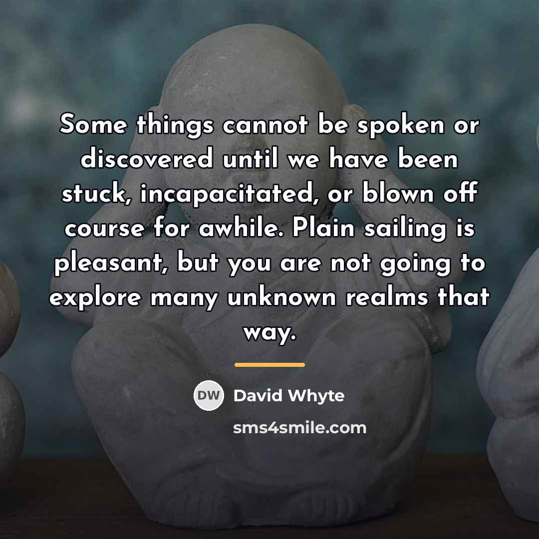 “Some things cannot be spoken or discovered until we have…” quote by David Whyte
