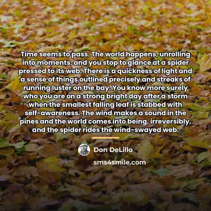 “Time seems to pass. The world happens, unrolling into moments,…” quote by Don DeLillo