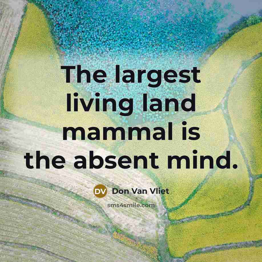 “The largest living land mammal is the absent mind.…” quote by Don Van Vliet