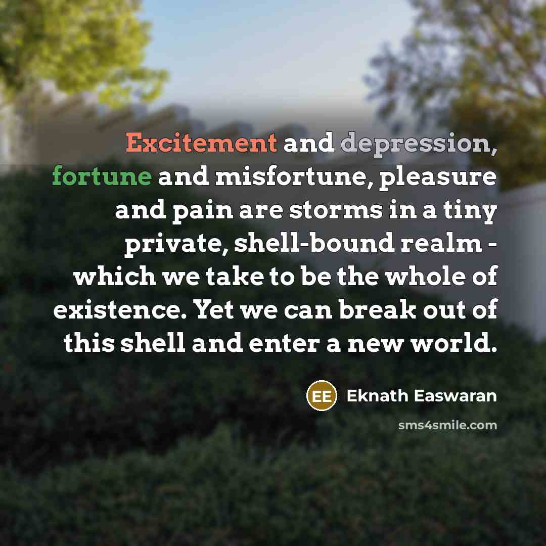 “Excitement and depression, fortune and misfortune, pleasure and pain are…” quote by Eknath Easwaran