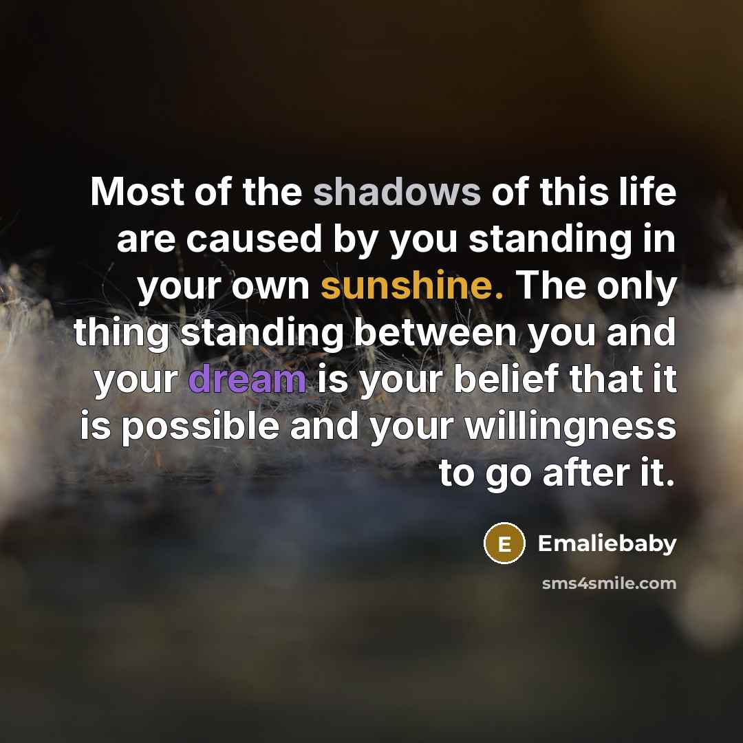 “Most of the shadows of this life are caused by…” quote by Emaliebaby