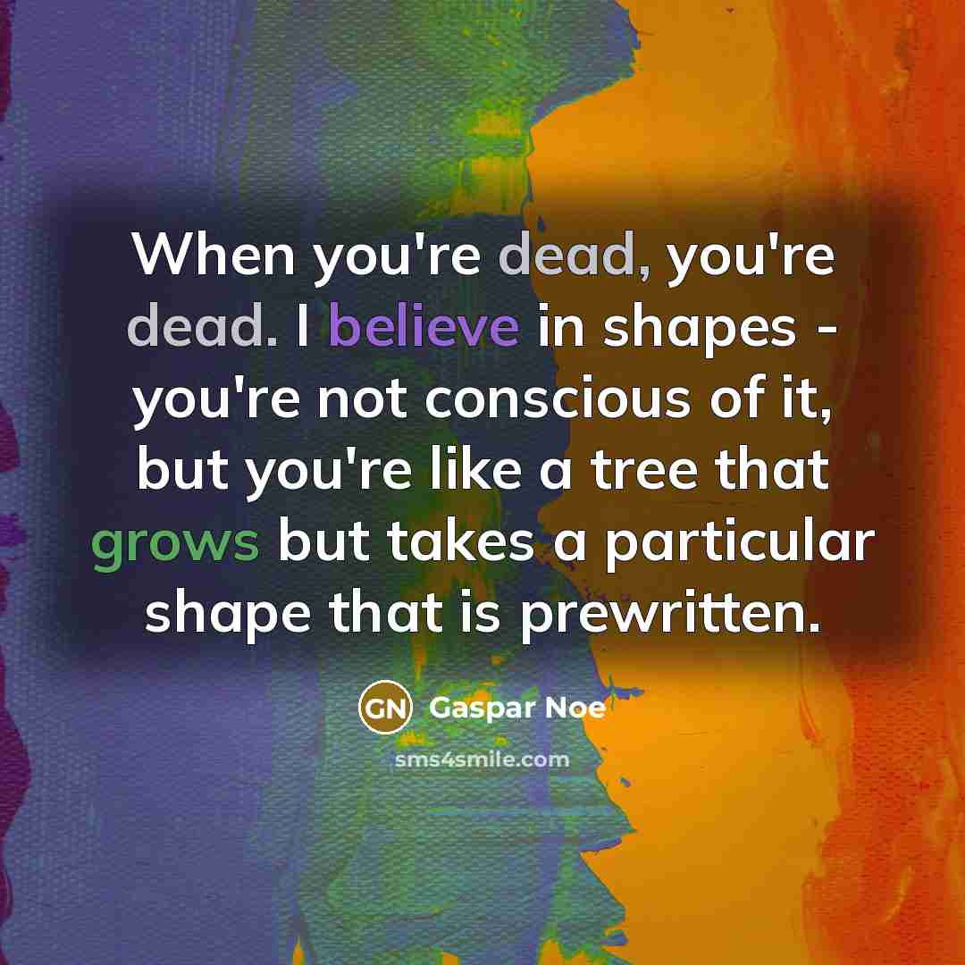 “When you're dead, you're dead. I believe in shapes -…” quote by Gaspar Noe